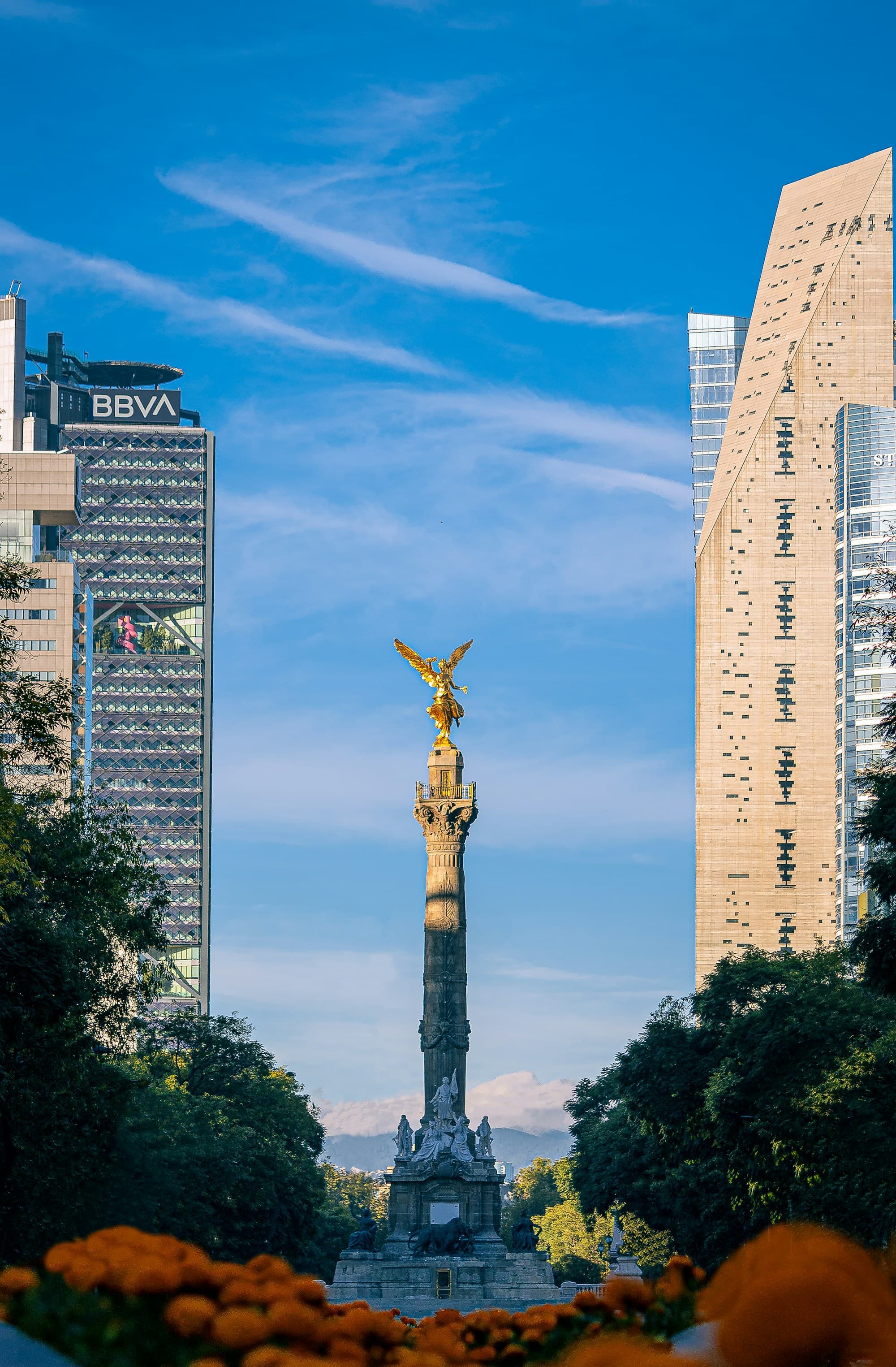 The golden Angel of Independence on its column in Mexico City, framed by trees and towers in warm light